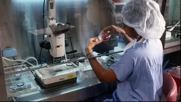 Mulher em clínica de fertilização in vitro - Getty Images