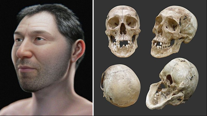 Reconstrução facial e crânio de Darcy - Divulgação/MUHM/Cicero Moraes