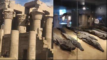 Registros do templo Kom Ombo - Joana Freitas